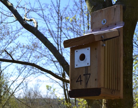Nest box